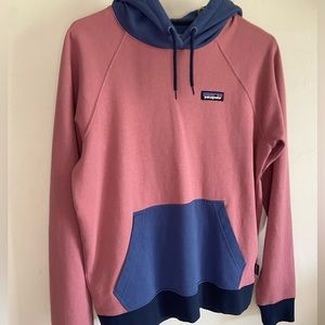 Patagonia Muti Color Hoodie